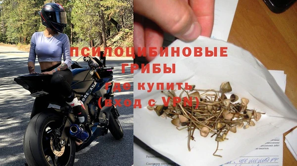гашик Алексеевка
